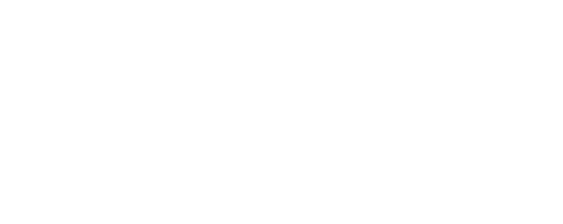 Pedro Netto